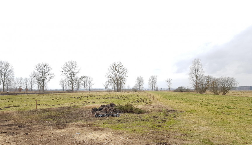 goleniowski, Goleni&oacute;w, Rurzyca, Działka na sprzedaż